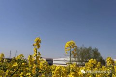 疫情已經(jīng)得到控制歡迎寧夏現(xiàn)場(chǎng)合伙人來(lái)訪鋁塑煉油設(shè)備